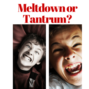 tantrum vs meltdown