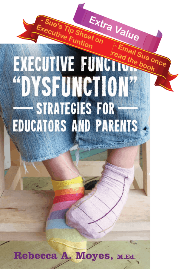 Executive Function Dysfunction Sue Larkey