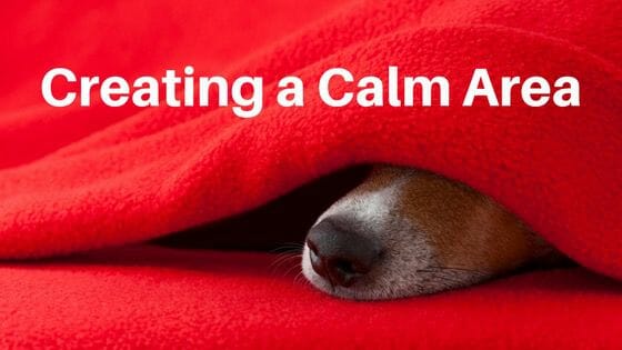 Creating a Calm Area